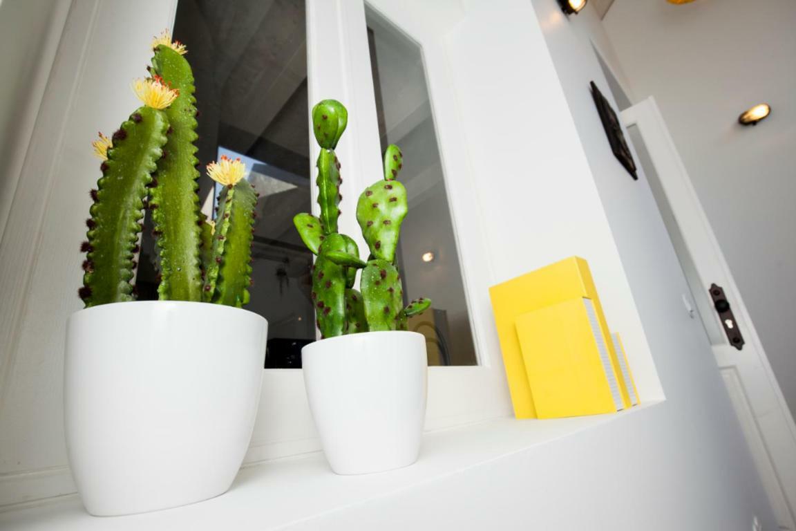 Get A Cactus And Books Studio Apartment Porto Exterior photo